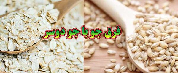 عکس های جو دوسر