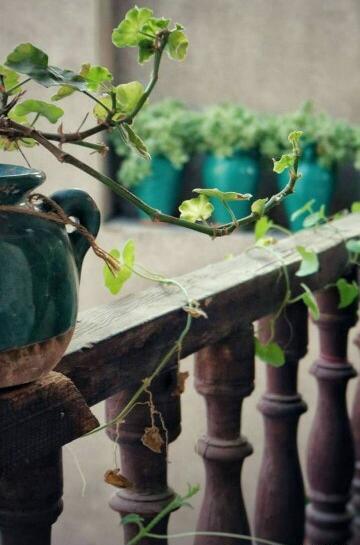 عکس نوشته ظهر آدینه بخیر