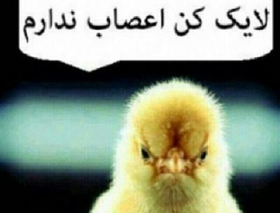 عکس های لایک خور اینستا