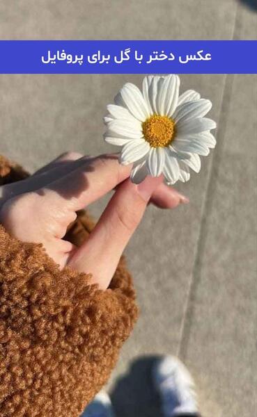 عکس دخترانه جذاب و شیک گل