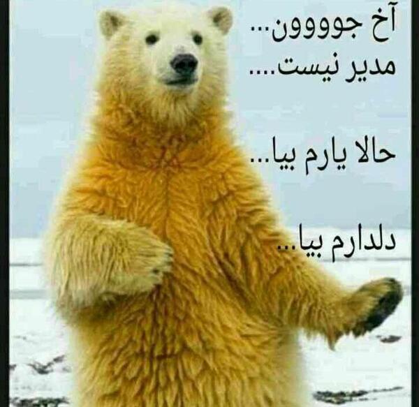 کانال تلگرام عکس نوشته صبح بخیر