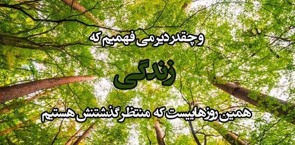 عکس نوشته انگیزشی در طبیعت
