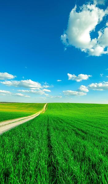 عکس منظره پس زمینه