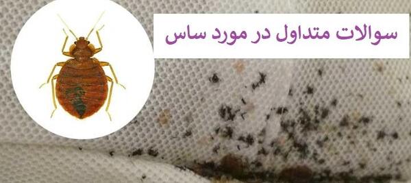 عکس ساس