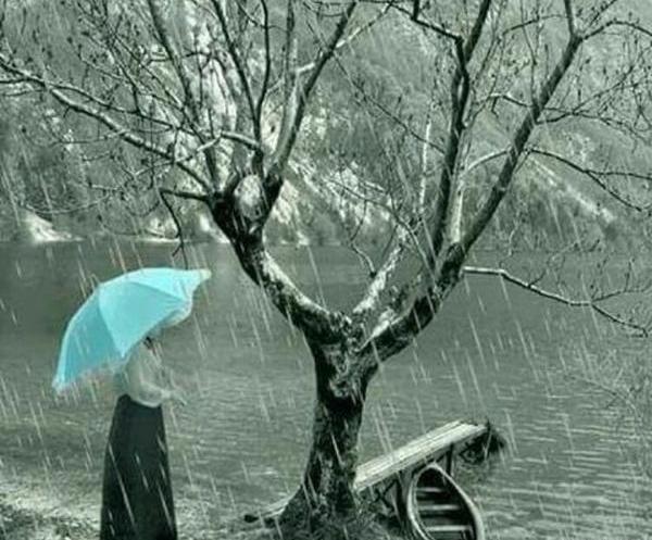 عکس بارانی نقاشی