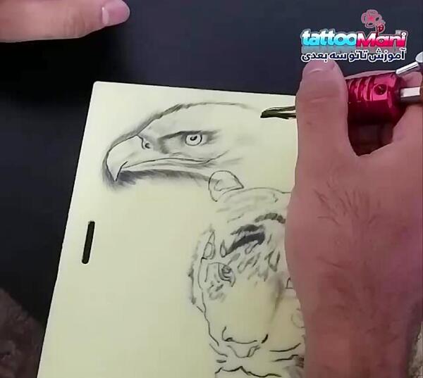 عکس تاتو عقاب و گرگ