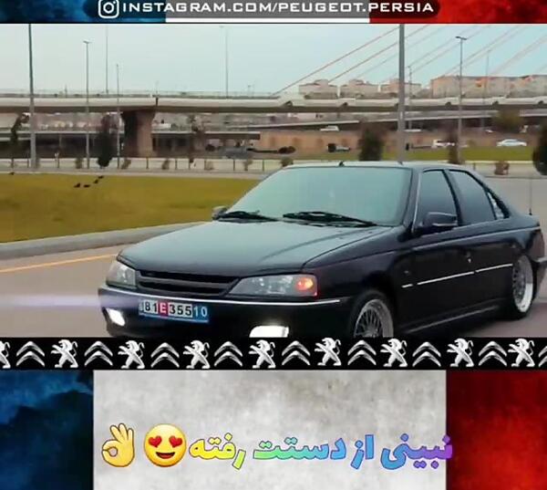 عکس مشکی گرگ