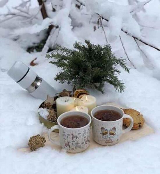عکس چای زمستانی
