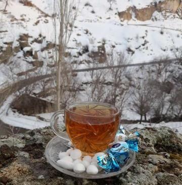 عکس چای زمستانی