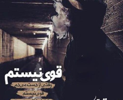 عکس پروفایل من شاخ نیستم چون گاو نیستم