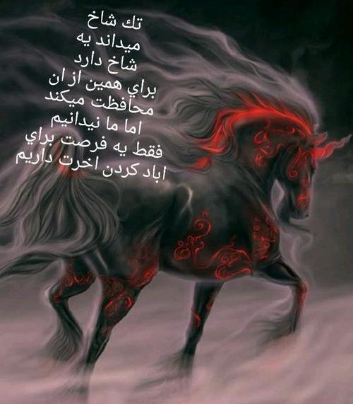 عکس پروفایل من شاخ نیستم چون گاو نیستم