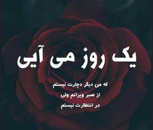 عکس پروفایل من شاخ نیستم چون گاو نیستم