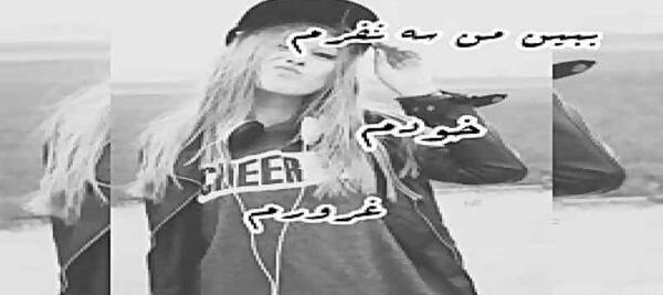 عکس پروفایل من شاخ نیستم چون گاو نیستم