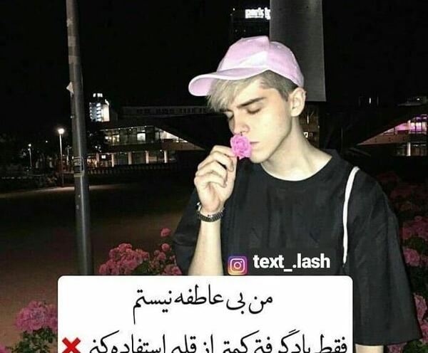 عکس پروفایل من شاخ نیستم چون گاو نیستم