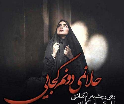 عکس پروفایل من شاخ نیستم چون گاو نیستم