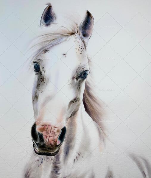 عکس نقاشی صورت حیوان