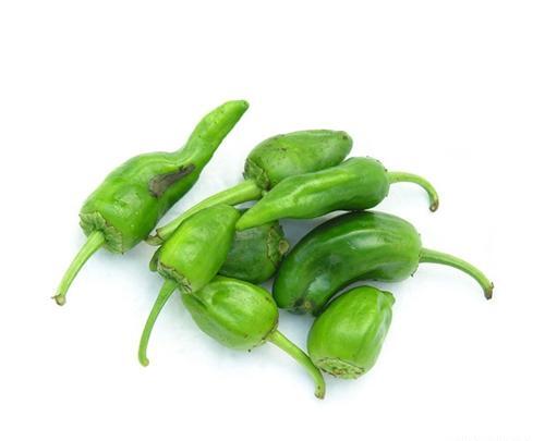 عکس فلفل سبز شیرین