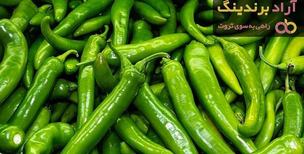 عکس فلفل سبز شیرین