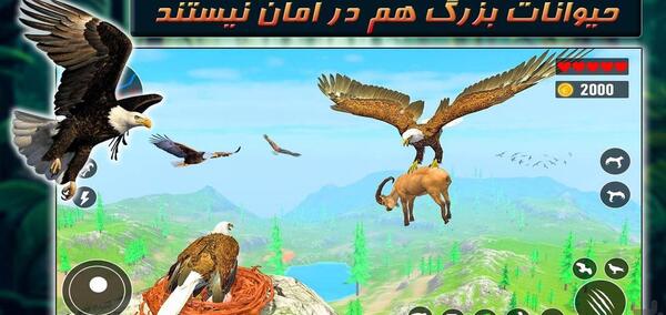 عکس عقاب خیلی بزرگ