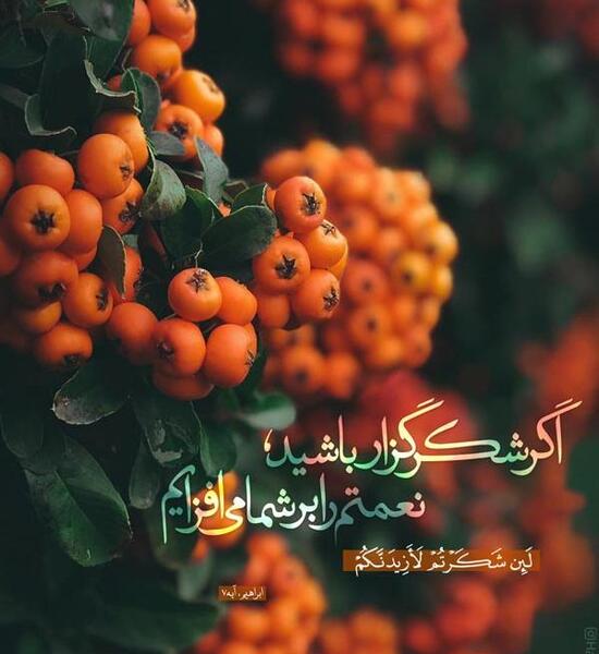 عکس نوشته آیه زیبا