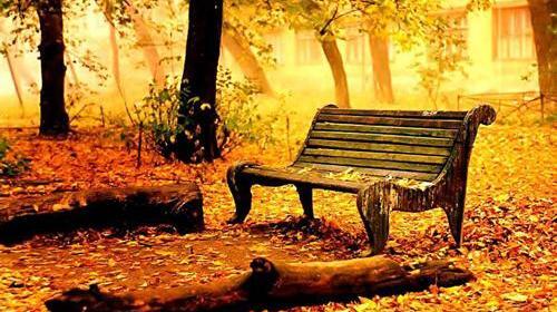 عکس در مورد پاییز