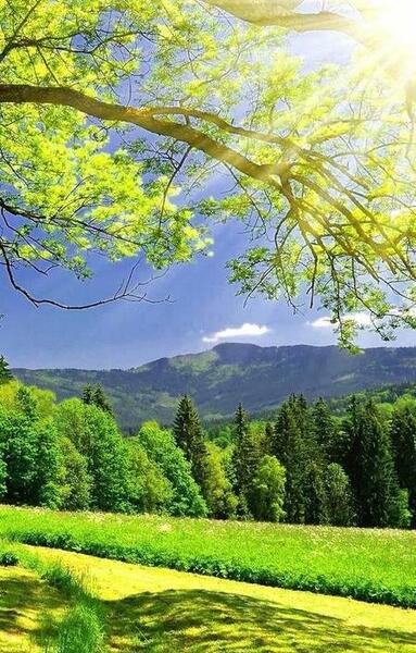 عکسهای زیبا از طبیعت تابستان