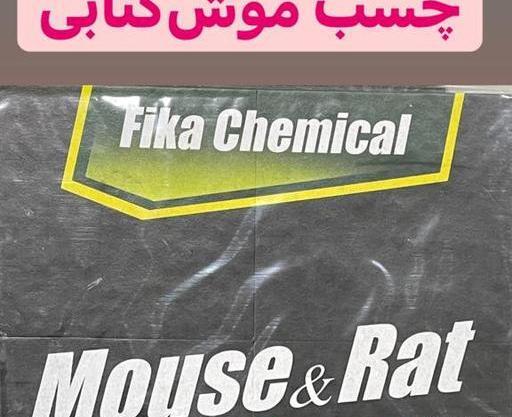 عکس چسب مارمولک