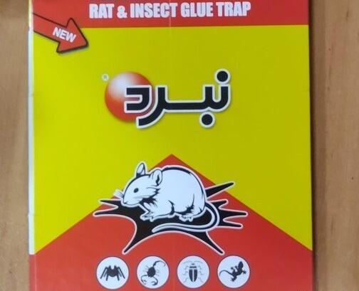 عکس چسب مارمولک