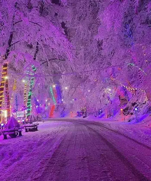 عکس جاده عباس آباد به کلاردشت