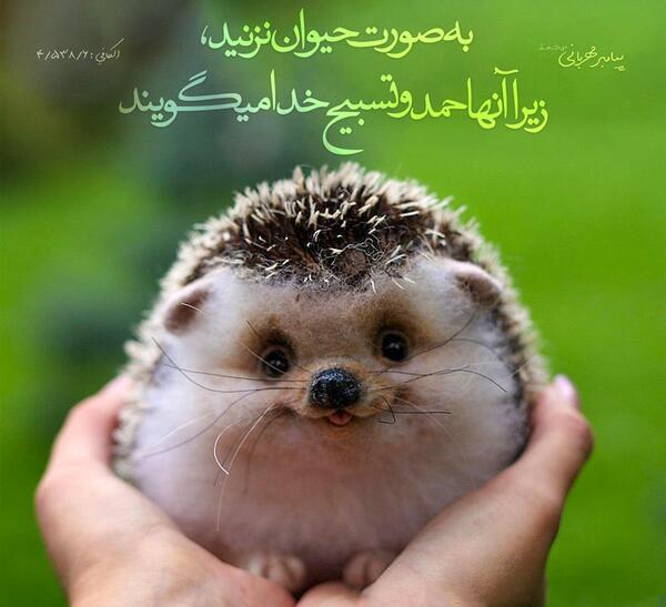 عکس اسلایم حیوانی