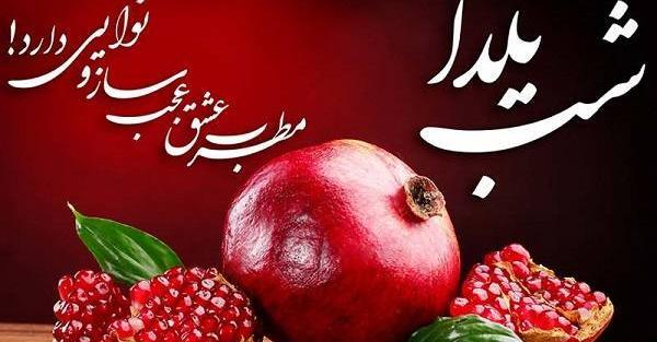 عکس یلدا فرهادی
