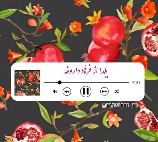 عکس یلدا فرهادی