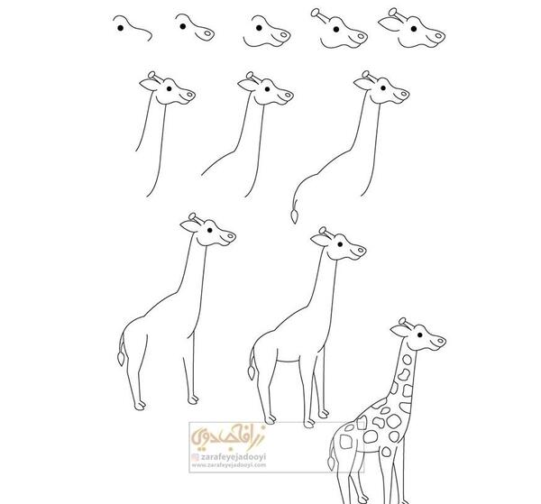 عکس نقاشی زرافه