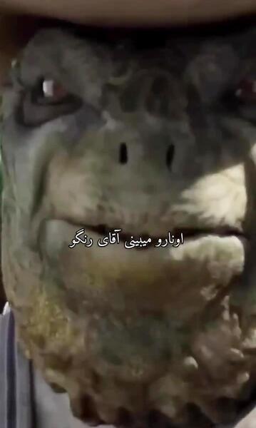 عکس رنگو