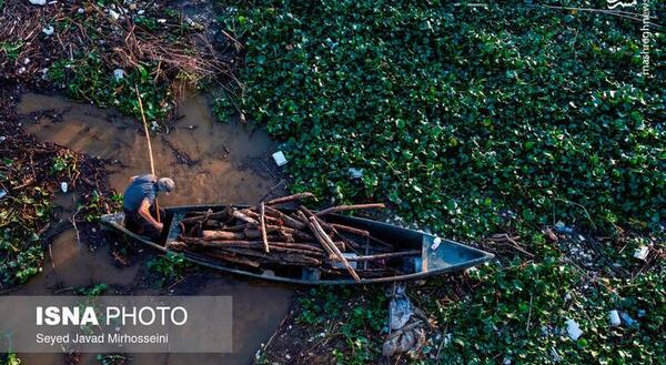 عکس شیطان بنفش