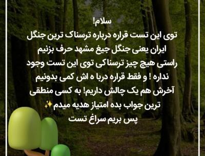 عکس ترسناک جنگل جیغ