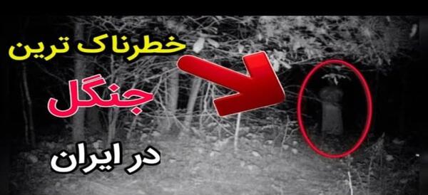عکس ترسناک جنگل جیغ