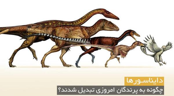 عکس ژن دایناسور