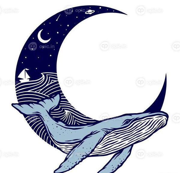 عکس نقاشی نهنگ زیبا