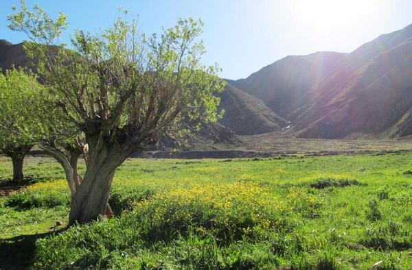 عکس های نزدیک تهران