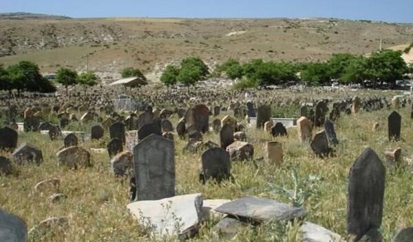 عکس سفیدچاه گلوگاه