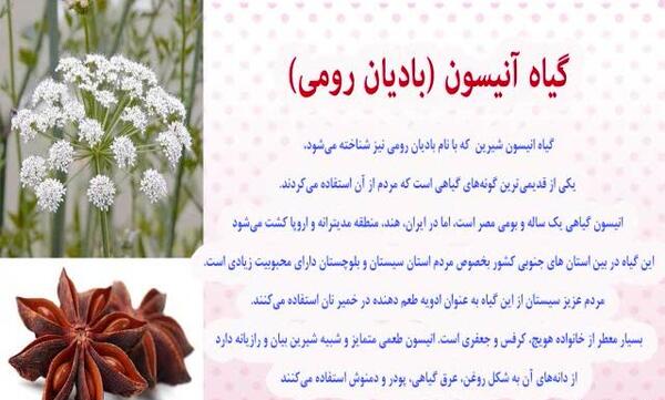 عکس شیرین بادیان