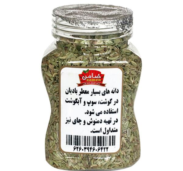 عکس شیرین بادیان