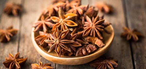 عکس شیرین بادیان