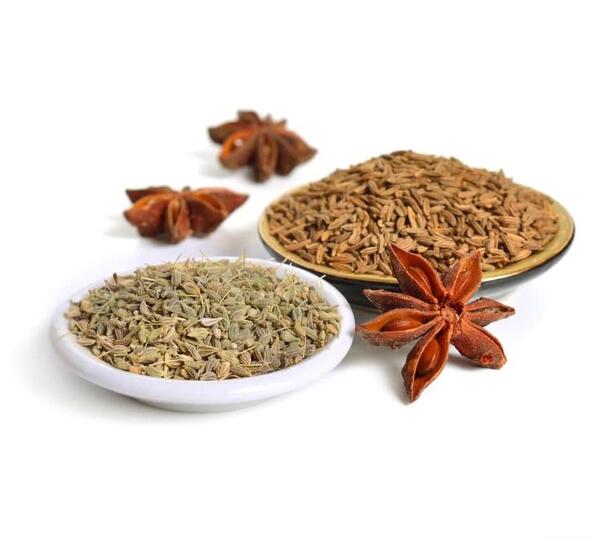 عکس شیرین بادیان