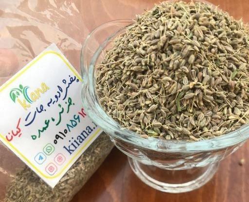 عکس شیرین بادیان