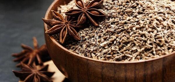 عکس شیرین بادیان