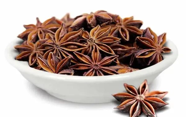 عکس شیرین بادیان
