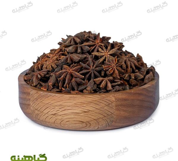 عکس شیرین بادیان