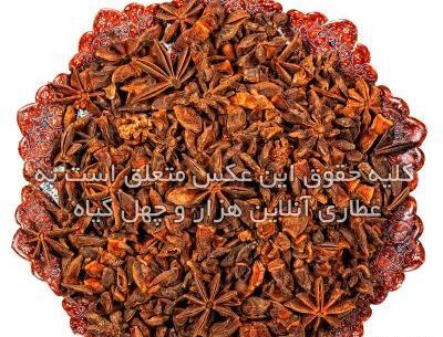 عکس شیرین بادیان